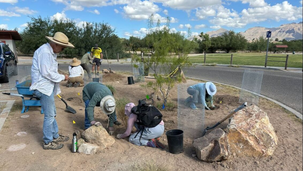Planting Event at Park, September 21, 2024
